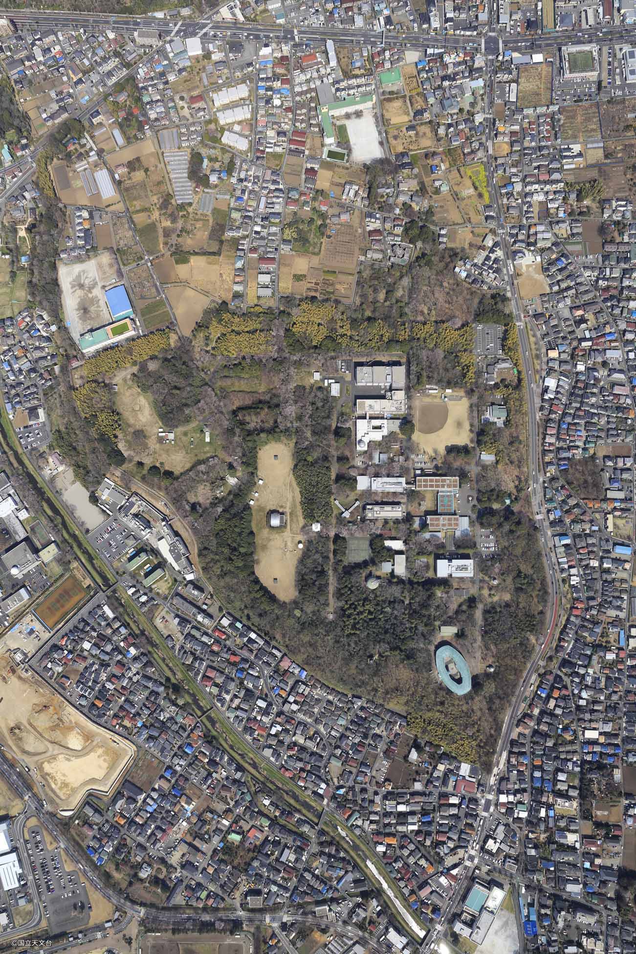 国立天文台 三鷹キャンパス 俯瞰写真